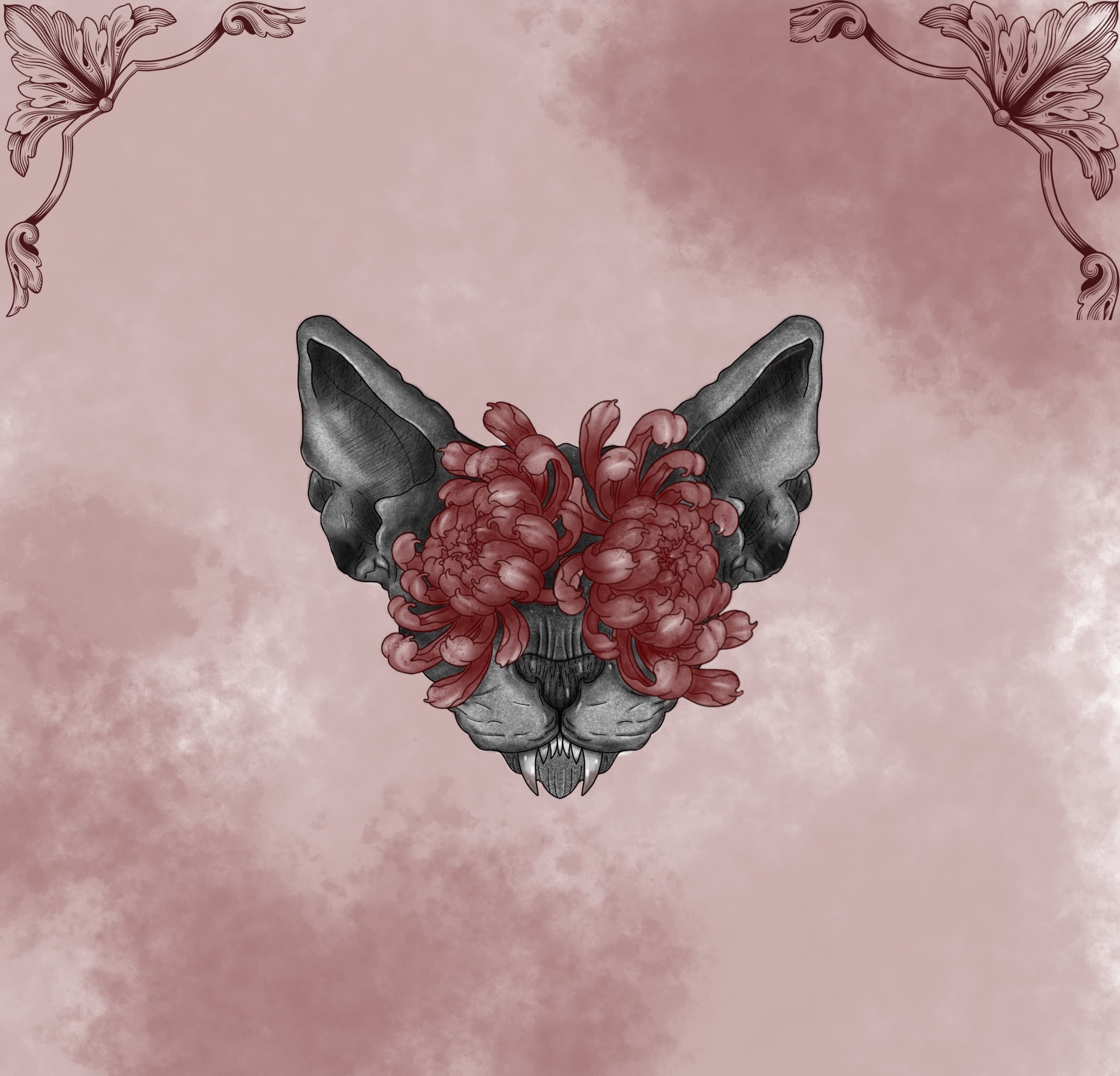 Sphynx à chrysanthèmes